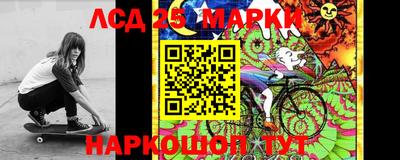 прущие грибы Братск