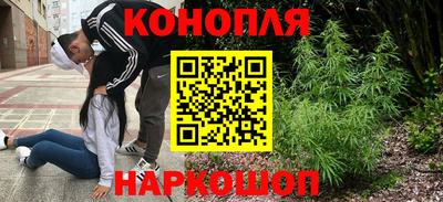 прущие грибы Братск