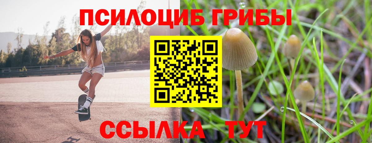 Батайск  Псилоцибиновые грибы Psilocybe  Псилоцибиновые грибы ЛСД  Вход с VPN 